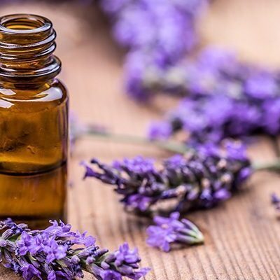 esencialny olej, levandula